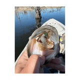 Techno Frog soft plastic bass lure in various colors
