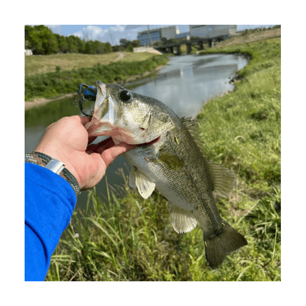 Techno Frog soft plastic bass lure in various colors