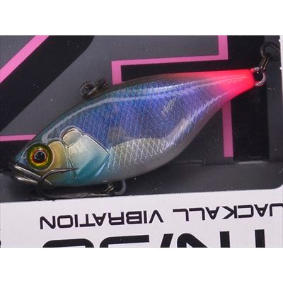 TN 38 SI Silent (BFS) - Tackle Shack TX