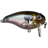 Wake Z - Tackle Shack TX