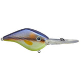 Z Boss - Tackle Shack TX