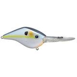 Z Boss - Tackle Shack TX