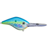 Z Boss - Tackle Shack TX